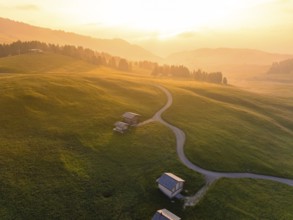 Houses on a hilly landscape at sunset, surrounded by forest, Alpe di Siusi, Dolomites, South Tyrol,