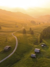Undulating hills and forests in sunset mood with scattered mountain huts, Alpe di Siusi, Dolomites,