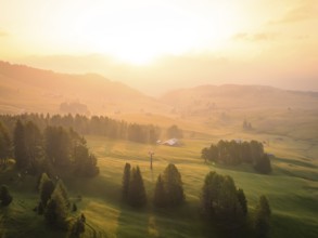 Trees and sunshine on a hilly landscape in a peaceful atmosphere, Alpe di Siusi, Dolomites, South