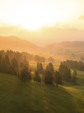 Dreamy sunrise mood with forests and mountains in the distance, Alpe di Siusi, Dolomites, South