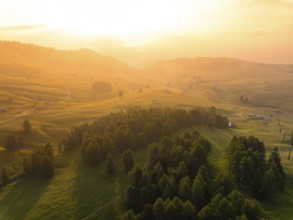 Wide valley view with trees in the warm light of the golden hour, Alpe di Siusi, Dolomites, South