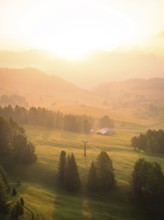 Forest and fog in the soft sunlight, illuminating the valley, Alpe di Siusi, Dolomites, South