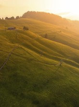 Wide meadow landscape in soft evening light with meandering paths, Alpe di Siusi, Dolomites, South