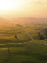 Hilly landscape at sunset with winding paths and warm light, Alpe di Siusi, Dolomites, South Tyrol,