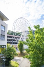 A building and trees in the foreground, behind which a Ferris wheel rises, Ferris wheel