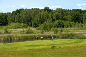 Golfers on the putting green of the golf course at the Golfhotel Balmer See Hotel-Golf-Spa, Balm,