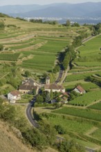 Het uitzicht toont een schilderachtig dorp omringd door uitgestrekte wijngaarden op de heuvels, met