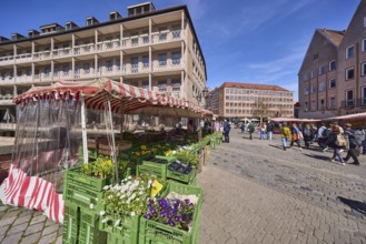 Pedestrian zone, market, market stalls, flower stall, pedestrians as secondary motif, blue sky,