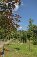 Under-tree burial, resting place, accessible place, Lutheran cemetery, Heisfelder Straße, Leer,