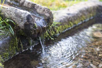 Ellbachsee view fountain, wooden water channel and sandstone water basin, Baiersbronn, Northern