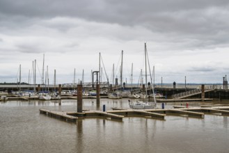 Pauillac, Gironde Estuary, Bordeaux, Gironde, Nouvelle-Aquitaine, France