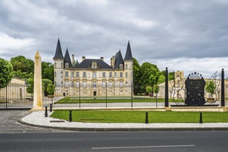 Vineyard of Chateau Pichon Longueville Baron Vineyard and grape fields around Pauillac, Bordeaux,