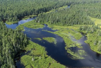 Lake and islands with vegetation, Boreal forest, Mastigouche wildlife reserve, Region of La