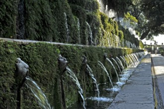 Gargoyles, Avenue of a Hundred Fountains, Viale delle Cento Fontane, Renaissance garden of the