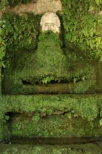 Fountain of the Nymphaeum, Renaissance garden of the Villa d'Este, water features, fountains,
