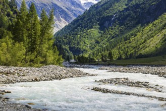 Torrential mountain stream La Navisence, Zinal valley, Val d'Anniviers, Valais Alps, Canton Valais,