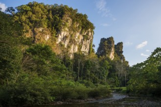 Jungle and rainforest with steep mountains, Khao Sok National Park, Phang Nga, Surat Thani,