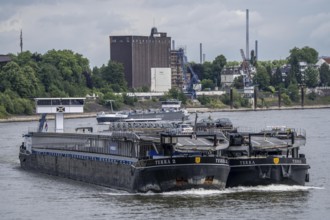 Cargo ship on the Rhine, car transporter Terra 2, Duisburg, North Rhine-Westphalia, Germany