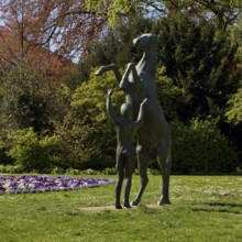 Artwork with the title Hengst Wohlklang in der Freiheitsdressur by Ulrich Conrad in the palace