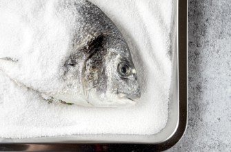 Fresh Dorado fish, cooked in coarse salt, on a tray, top view, close-up, no people