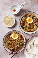 Buckwheat noodles soba with shimeji mushrooms, with boiled egg, green onion, sesame seeds,