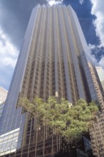 Trump Tower with exclusive shops, cafés, flats and offices, Manhattan, New York City, USA
