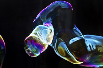 Large, iridescent soap bubble tube in the colours of the rainbow against a black background,