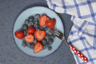 Plate with strawberries and blueberries, Fragaria, Vaccinium