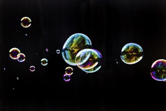 Iridescent soap bubbles in the colours of the rainbow against a black background, Recklinghausen,