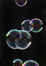 Iridescent soap bubbles in the colours of the rainbow against a black background, Recklinghausen,