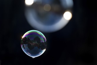 Two shimmering and floating soap bubbles against a black background, Recklinghausen, North