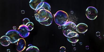 Iridescent soap bubbles with a just burst bubble in front of a black background, Recklinghausen,