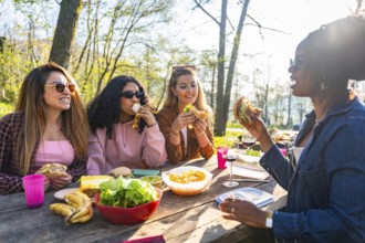 Group of young women enjoying a sunny picnic at a park, happily sharing delicious sandwiches and