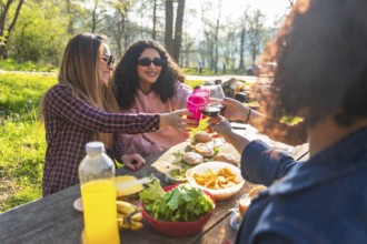 Happy women enjoying a sunny picnic in the park, toasting with drinks while savoring healthy food