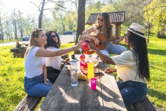 Four diverse friends are toasting with wine glasses during a picnic, while one plays guitar on a