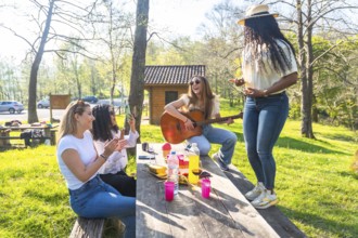 Four friends are having a picnic in a park, with one playing guitar, another dancing, and two