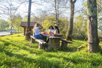 Three women enjoying a picnic lunch and drinks on a sunny day in a forest park, sharing stories and