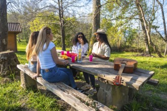 Group of female friends enjoying picnic lunch and drinks at wooden table in sunny forest park with