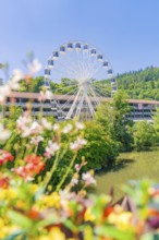 A Ferris wheel rises above blooming flowers and a river, embedded in a lush green landscape, 950