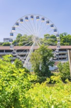 A Ferris wheel stands majestically in the background, surrounded by dense green trees on a sunny