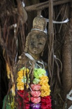 Bodhi tree, Ficus religiosa, wooden figure, Koh Phi Phi, Krabi, Andaman Sea, Thailand