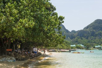 Beach bar, Loh Dalum Beach, Koh Phi Phi, Krabi, Andaman Sea, Thailand