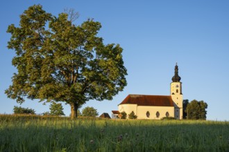 The pilgrimage church of the Assumption of the Virgin Mary in Weißenregen near Bad Kötzting. In the