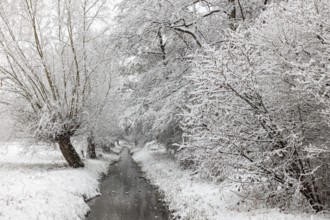 Stream, old drainage ditch in the Rhine floodplains near Meerbusch in winter with snow, Ilvericher