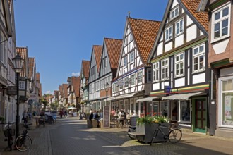 Lively pedestrian zone in the old town with many half-timbered houses, Celle, Lower Saxony, Germany