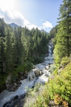 Waterfall at a roaring mountain stream between trees, Seebach stream in the Burkhardklamm gorge,