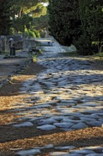 Ancient pavement of the main street Decumano Massimo, large paving stones, remains, ruins, ancient