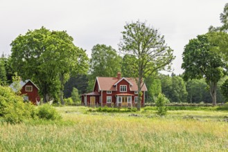 Idyllic residential house in the countryside by a meadow and a grove of trees a sunny summer day,