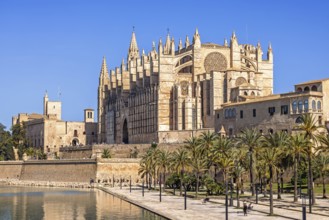 View at Palma Cathedral a famous Gothic Roman Catholic cathedral with the city walls and the Royal