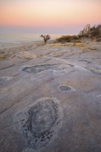Rocks with salt crust on Kubu Island, view over the salt pan at sunset, Kubu Island (Lekubu), Sowa